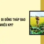 tụ-tphcm-di-dong-thap-bao-nhieu-km