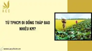 tụ-tphcm-di-dong-thap-bao-nhieu-km