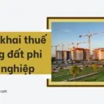 Mẫu kê khai thuế sử dụng đất phi nông nghiệp