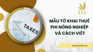 Mẫu tờ khai thuế phi nông nghiệp và cách viết