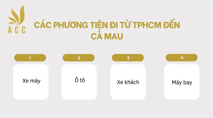 cac-phuong-tien-di-tu-tphcm-den-ca-mau