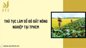 Thu-tuc-lam-so-do-dat-nong-nghiep-tai-TPHCM