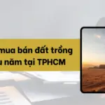 Thu-tuc-mua-ban-dat-trong-cay-lau-nam-tai-TPHCM.png