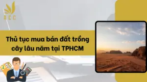 Thu-tuc-mua-ban-dat-trong-cay-lau-nam-tai-TPHCM.png