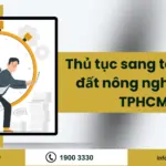 Thu-tuc-sang-ten-so-do-dat-nong-nghiep-tai-TPHCM.png