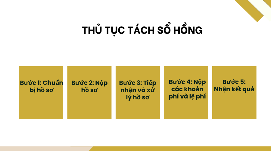 Thu-tuc-tach-so-hong