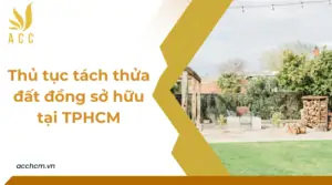 Thủ tục tách thửa đất đồng sở hữu tại TPHCM