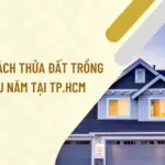 Thu-tuc-tach-thua-dat-trong-cay-lau-nam-tai-TP.HCM_.png