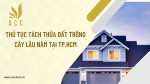 Thu-tuc-tach-thua-dat-trong-cay-lau-nam-tai-TP.HCM_.png