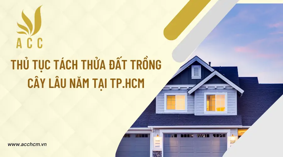 Thu-tuc-tach-thua-dat-trong-cay-lau-nam-tai-TPHCM