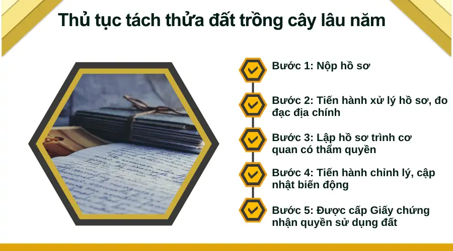 Thu-tuc-tach-thua-dat-trong-cay-lau-nam