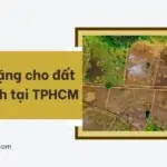 Thủ tục tặng cho đất hộ gia đình tại TPHCM