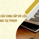 Thu-tuc-yeu-cau-cung-cap-du-lieu-dat-dai-tai-TPHCM.png