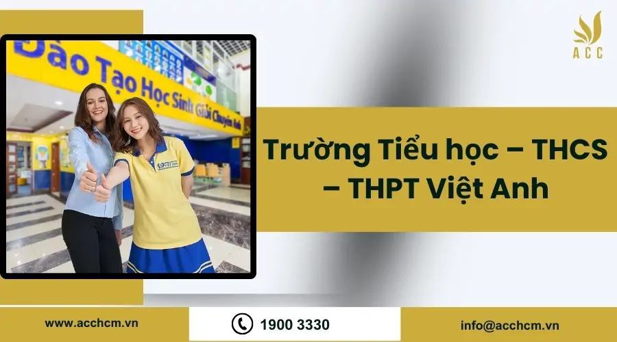 Truong-Tieu-hoc-–-THCS-–-THPT-Viet-Anh