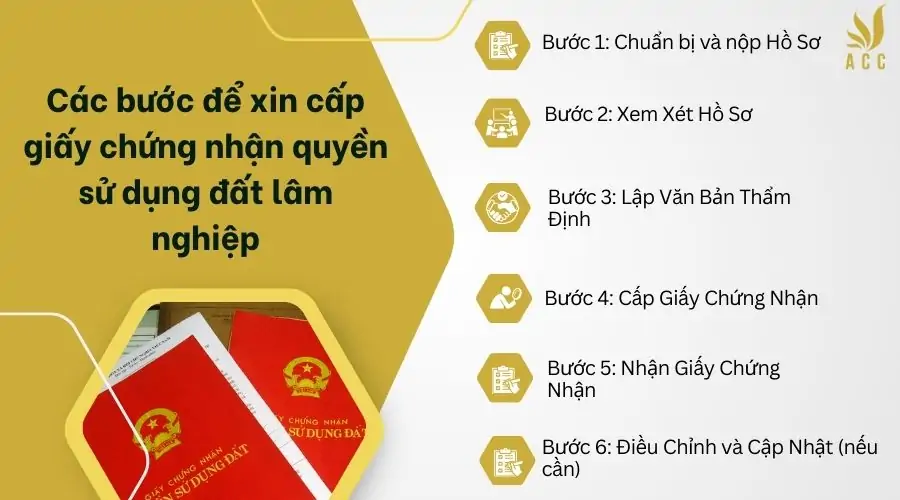 Các bước để xin cấp giấy chứng nhận quyền sử dụng đất lâm nghiệp