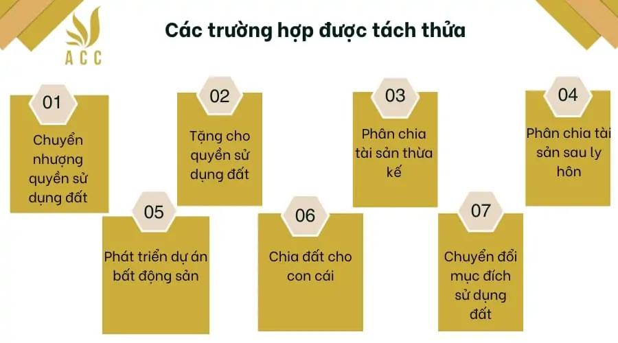 Cac-truong-hop-duoc-tach-thua