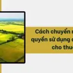 Cách chuyển nhượng quyền sử dụng đất đang cho thuê