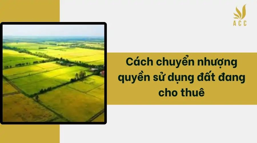 Cách chuyển nhượng quyền sử dụng đất đang cho thuê