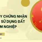 Cấp giấy chứng nhận quyền sử dụng đất lâm nghiệp