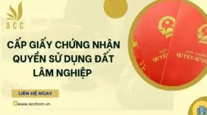 Cấp giấy chứng nhận quyền sử dụng đất lâm nghiệp