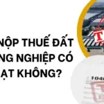 Chậm nộp thuế đất phi nông nghiệp có bị phạt không