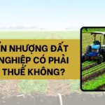 Chuyển nhượng đất nông nghiệp có phải đóng thuế không