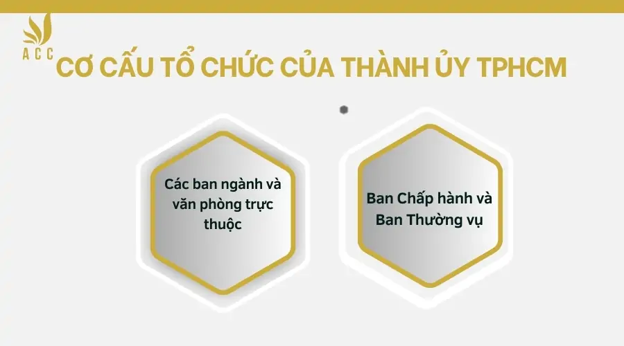 Cơ cấu tổ chức của Thành ủy TPHCM