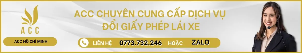 DOI-GIAY-PHEP-LAI-XE