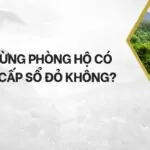 Đất rừng phòng hộ có được cấp sổ đỏ không