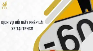 Dich-vu-doi-giay-phep-lai-xe-tai-TPHCM