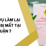 Dịch vụ giải quyết tranh chấp quyền nuôi con tại TPHCM (1)