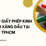 Dịch vụ giấy phép nhập khẩu tại TPHCM