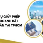 Dịch vụ giấy phép tư vấn du học tại TPHCM (2)