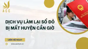 Dịch vụ làm lại sổ đỏ bị mất Huyện Cần Giờ