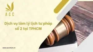 Dich-vu-lam-ly-lich-tu-phap-so-2-tai-TPHCM