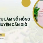 Dịch vụ làm sổ hồng tại Huyện Cần Giờ (1)