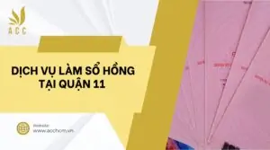 Dịch vụ làm sổ hồng tại Quận 11