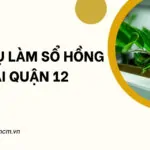 Dịch vụ làm sổ hồng tại Quận 12