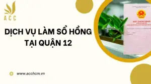 Dịch vụ làm sổ hồng tại Quận 12