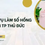 Dịch vụ làm sổ hồng tại TP Thủ Đức (1)