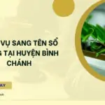 Dịch vụ sang tên sổ hồng tại Huyện Bình Chánh