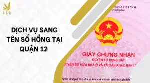 Dịch vụ sang tên sổ hồng tại Quận 12