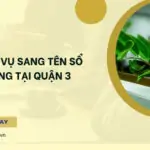 Dịch vụ sang tên sổ hồng tại Quận 3