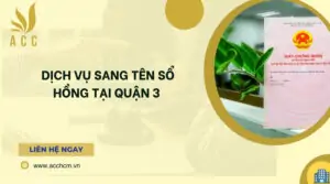 Dịch vụ sang tên sổ hồng tại Quận 3