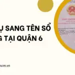 Dịch vụ sang tên sổ hồng tại Quận 6