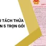 Dịch vụ tách thửa tại Quận 5 trọn gói