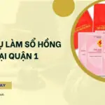 Dịch vụ tranh chấp nhãn hiệu tại TPHCM