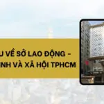 Giới thiệu về Sở Lao động – Thương binh và Xã hội TPHCM