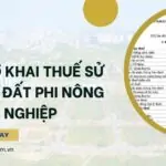 Hồ sơ khai thuế sử dụng đất phi nông nghiệp