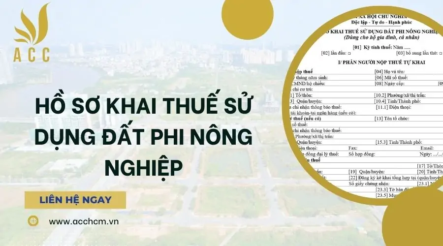 Hồ sơ khai thuế sử dụng đất phi nông nghiệp